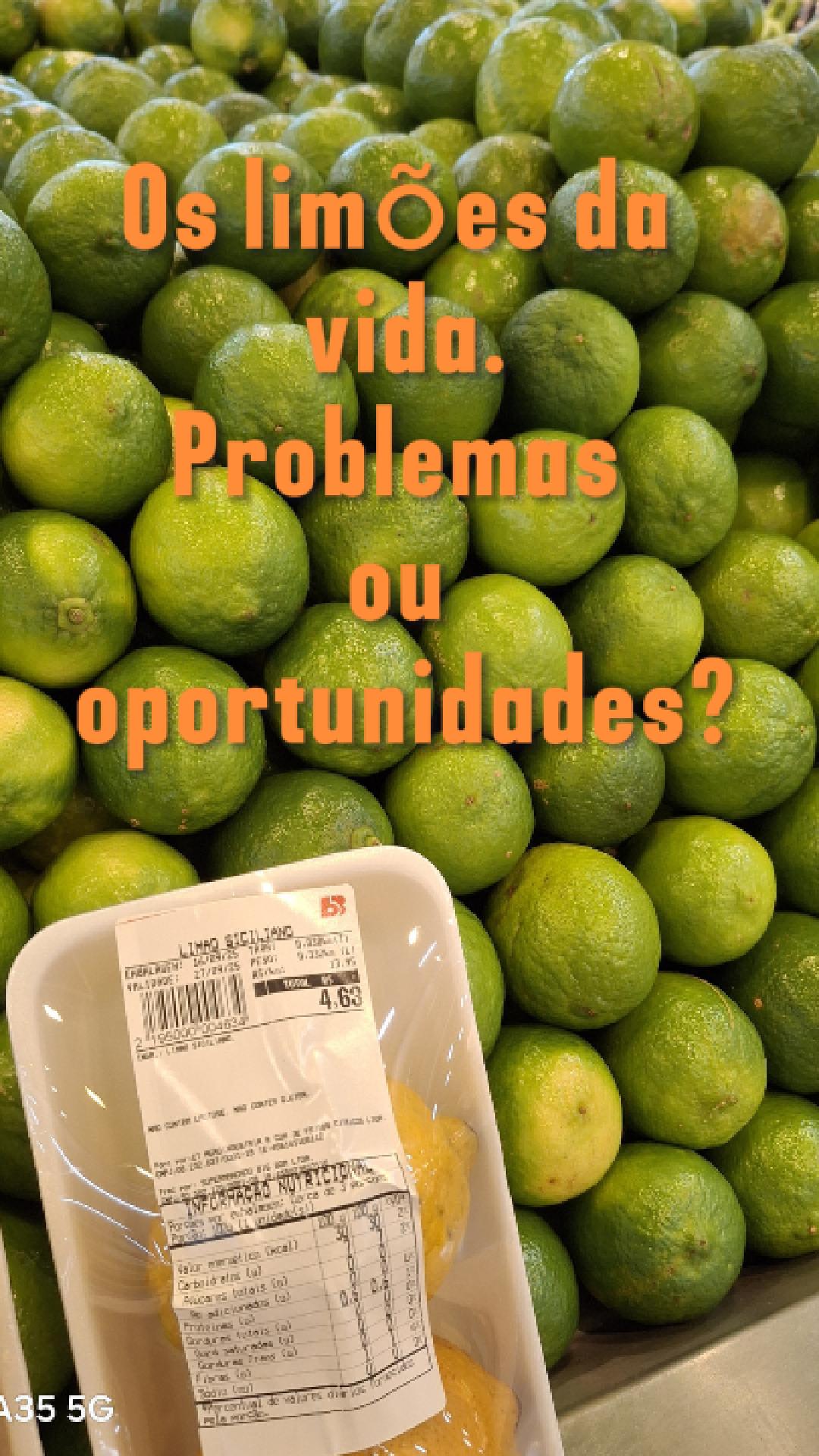 Quando a vida lhe der limões: descubra como lidar com os desafios da vida e criar novos sabores